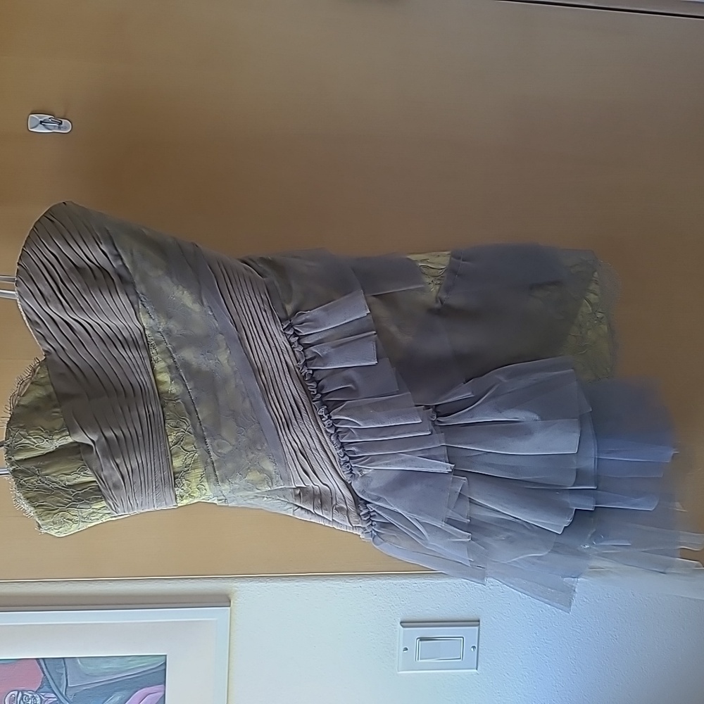 Nwt bcbg runway tube mini dress sz 2